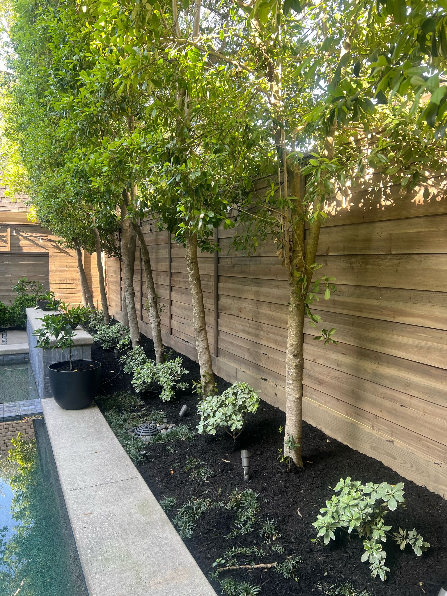 Uncategorized - Page 2 - Image 6